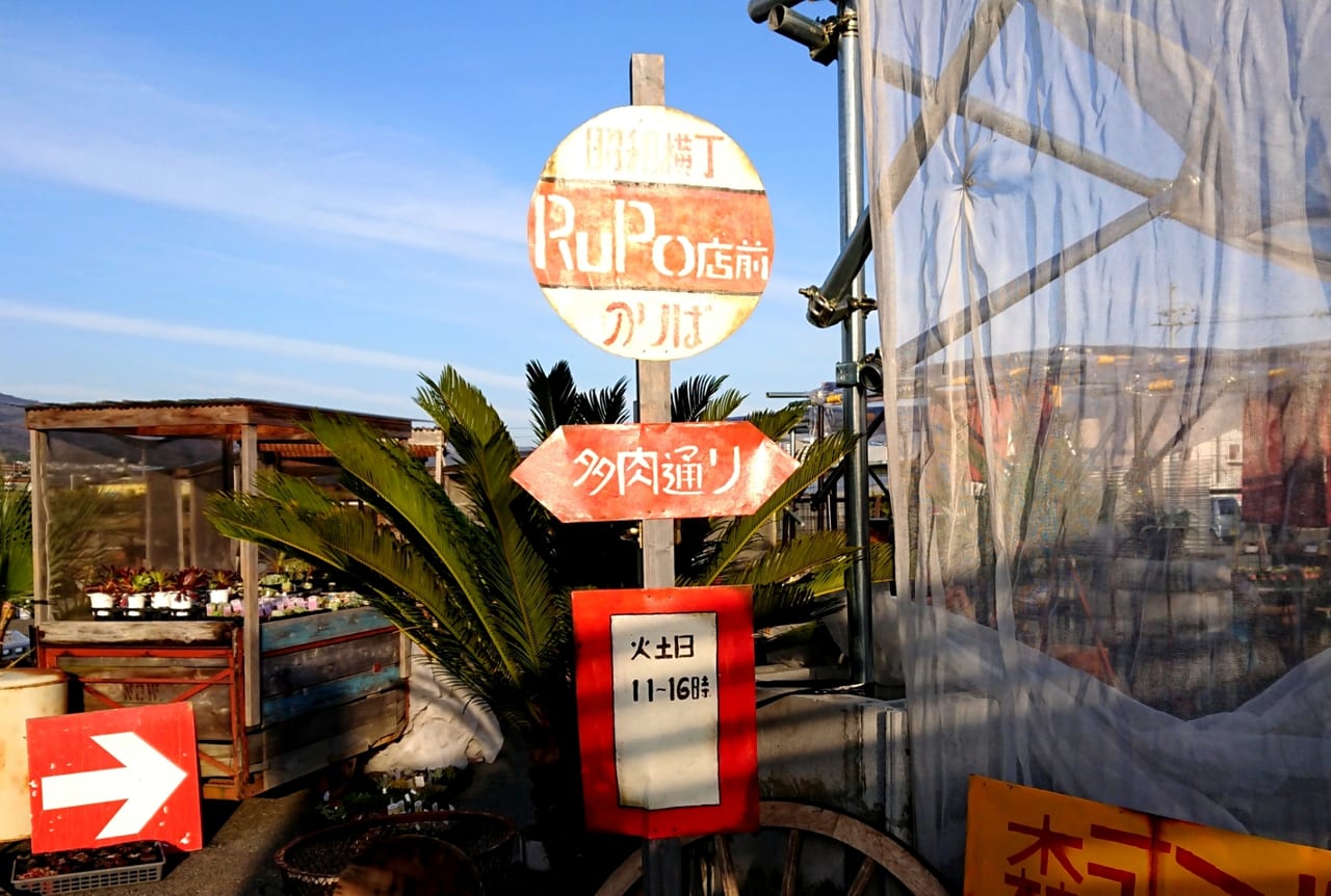 岩出市多肉植物専門店RuPo移転オープン