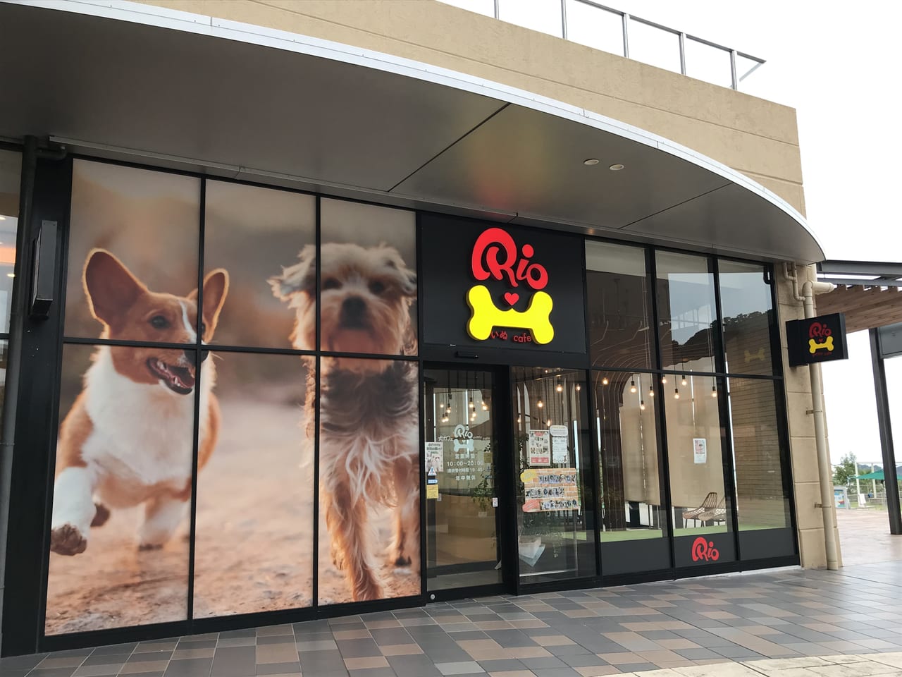和歌山市 関西初上陸の犬カフェ Puppy Cafe Rio がイオンモール和歌山にopenしていました 号外net 和歌山市