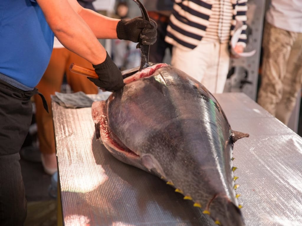 マグロの解体ショーイメージ画像