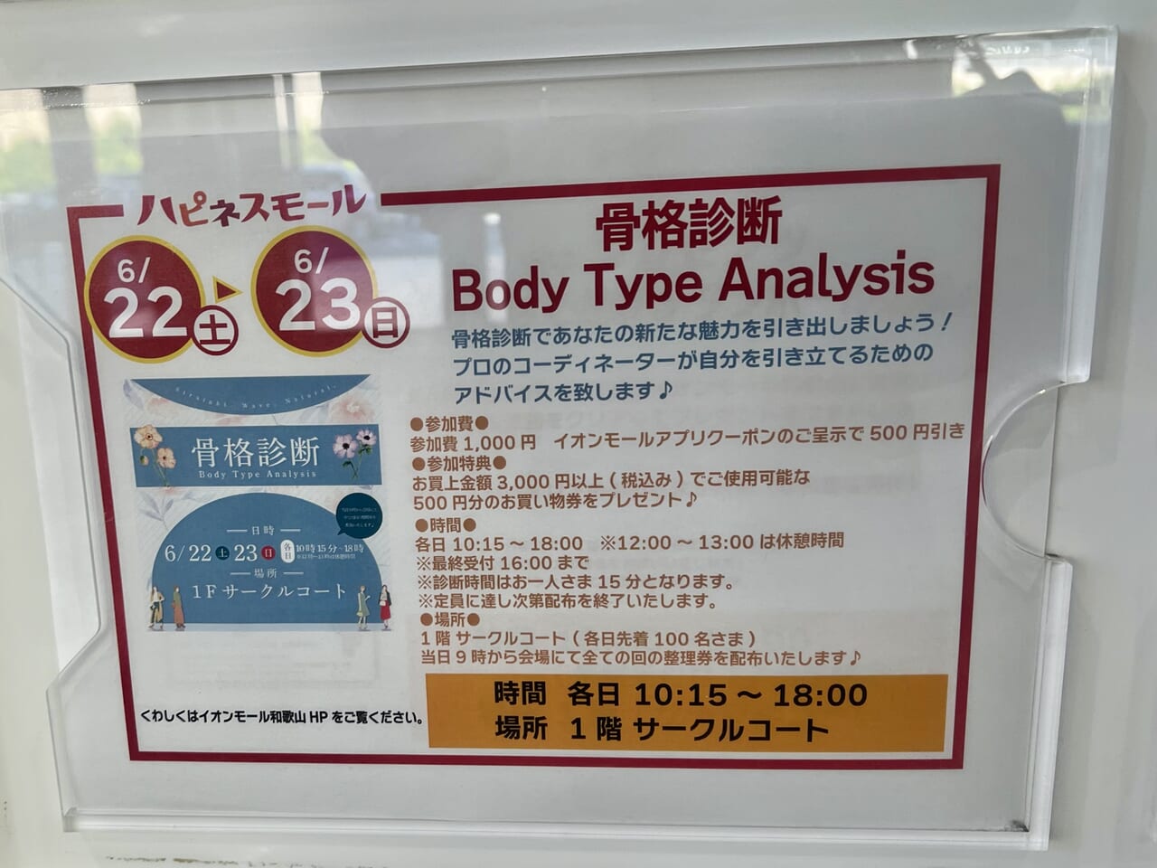 骨格診断 Body Type Analysis