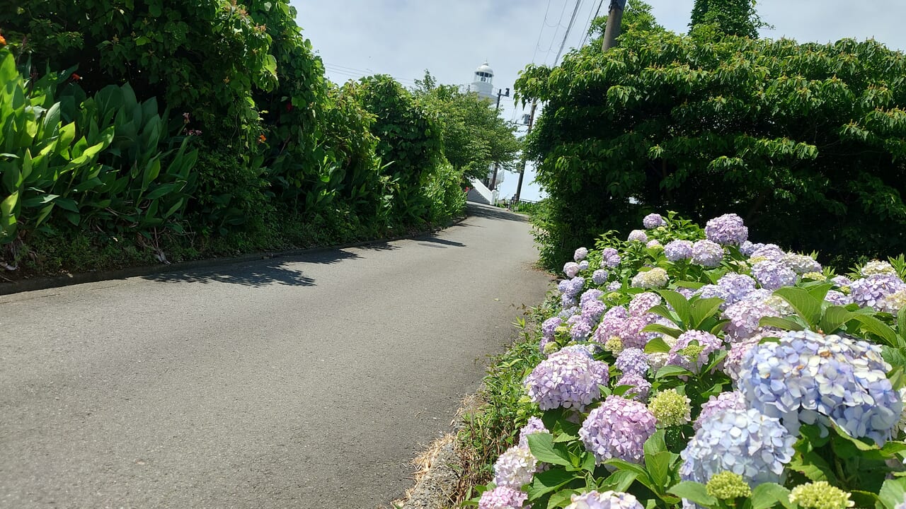 雑賀崎灯台への道