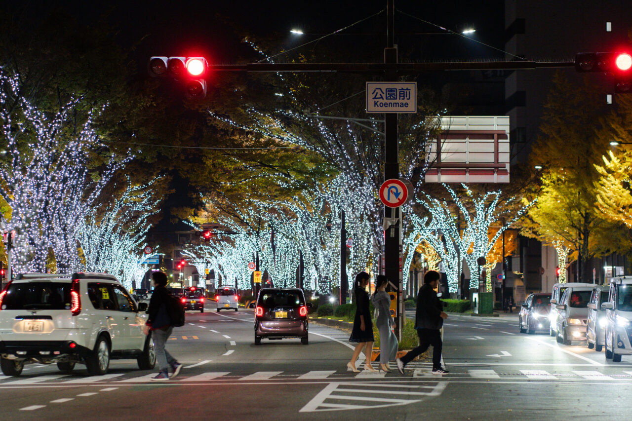 KEYAKI LIGHT PARADE 2024交差点