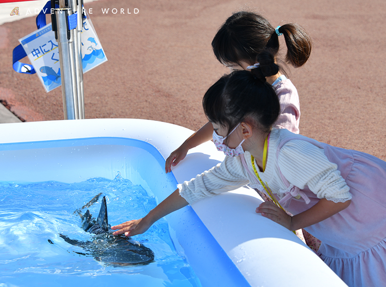 動物ふれあい